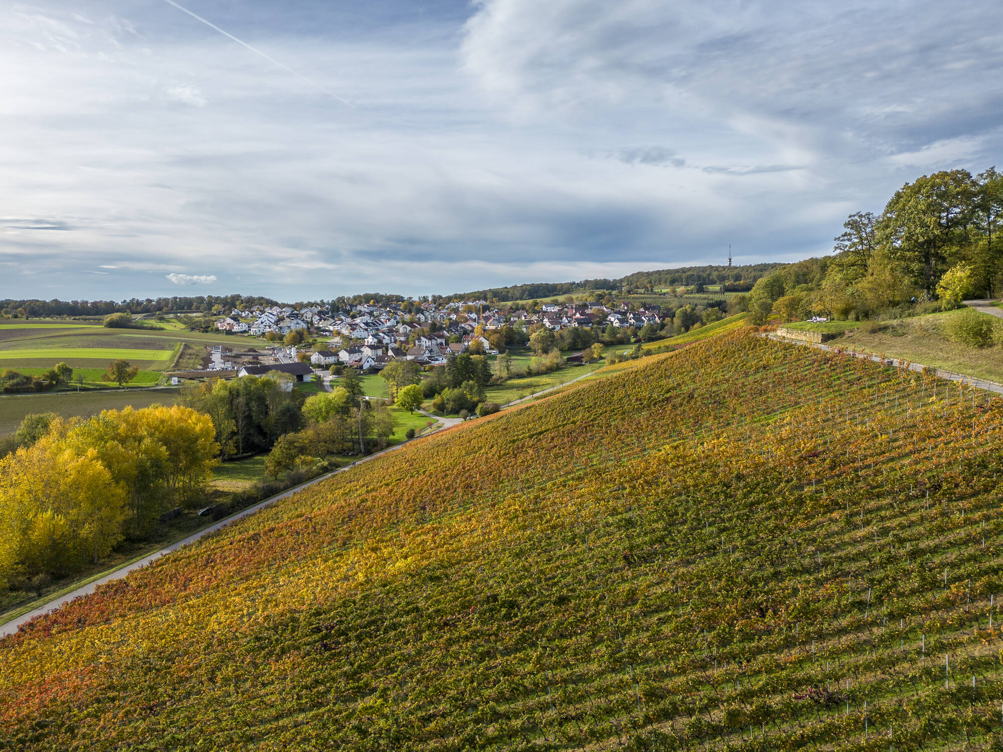 Weinberge bei Donnbronn