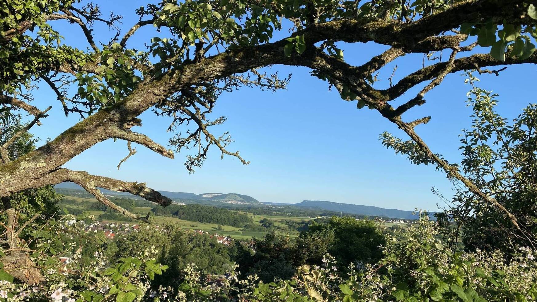 Weitblick über das Neckartal bei Neckartailfingen mit grüner Hügellandschaft und Ortschaft – naturnahe Wohnlage des Projekts Casa Neckarhöhe